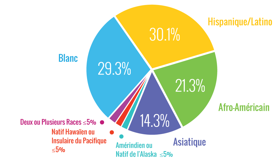 Données Démographiques de MCPS: Blanc 28.3%, Hispanique/Latino 32.3%, Noir ou Afro-Américain 21.4%, Asiatique: 14.4%, Deux races ou plus: ≤5.0%, Amérindien ou Natif de l'Alaska ≤5.0%, Natif d'Hawaï ou autre Habitant des îles du Pacifique; ≤5.0%