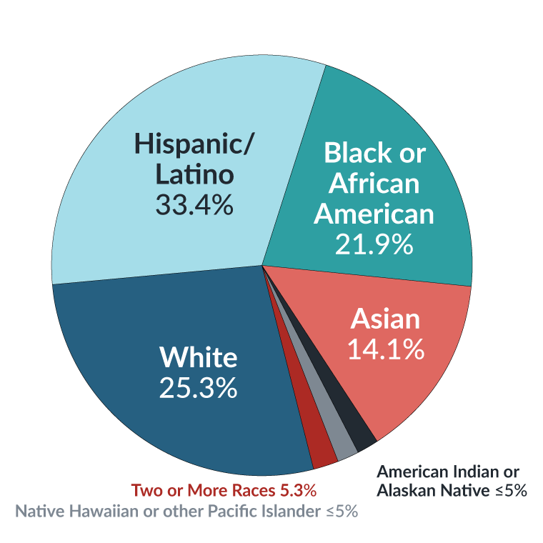 Student Demographics 2021-2022