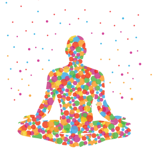 119 Mindfulness Rooms and Spaces. 190 schools providing Mindfulness to staff and students (90% of schools)