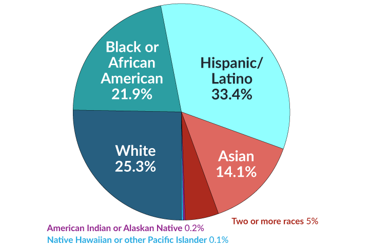 MCPS Demographics