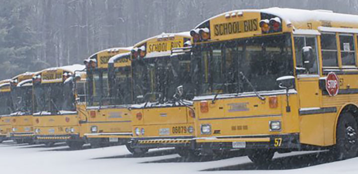 buses covered in snow