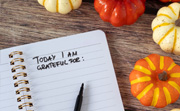 Cultivating Gratitude